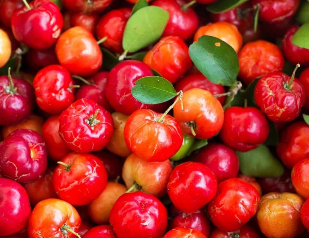 Ekstrak acerola
