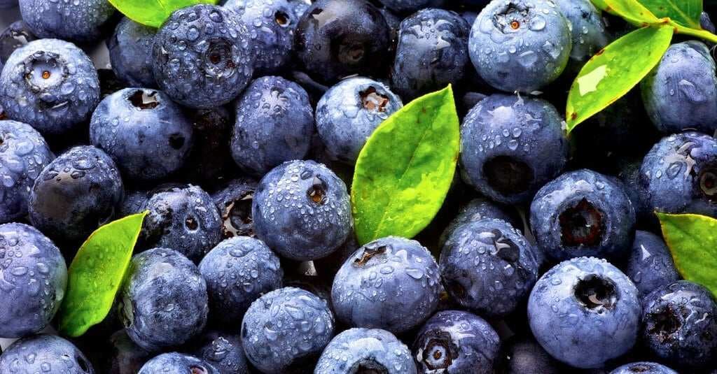 Ekstrak blueberry