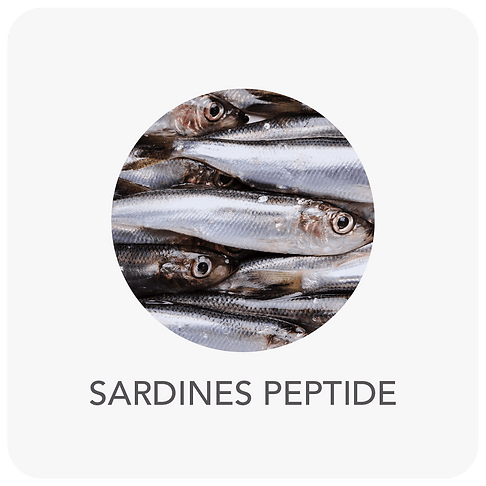 Peptida sarden